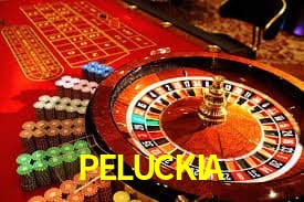 PELUCKIA Crash Game rápido